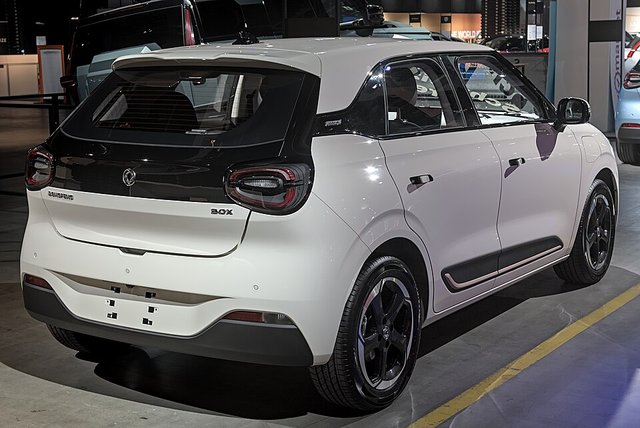 DONGFENG Box 2024-heden