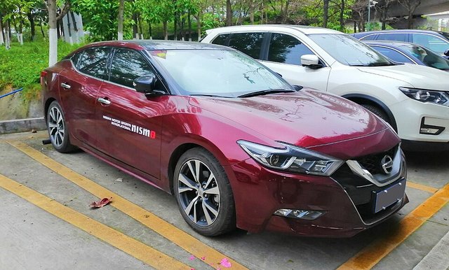 NISSAN Maxima