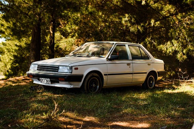 NISSAN Sunny 1981-1985