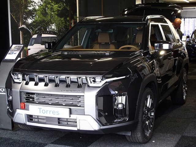 SSANGYONG Torres EVX
