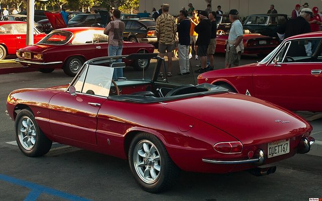 ALFA ROMEO Duetto 1969-1982