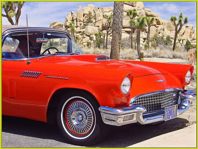FORD Thunderbird 1955-1957