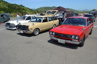 NISSAN Sunny 1977-1981