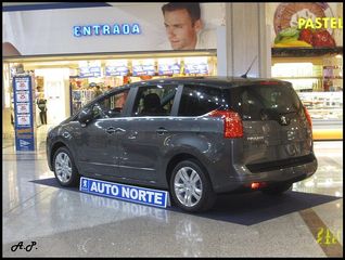 PEUGEOT 5008 2009-2016