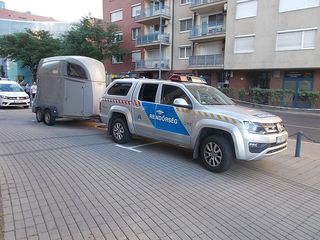 VOLKSWAGEN Amarok 2022-heden